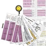 Nursing Badge Reference Cards - EKG, Vitals, 28 Cards, Multicolor