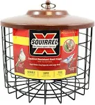 Stokes Select Squirrel-Proof Double Suet Feeder, Brown