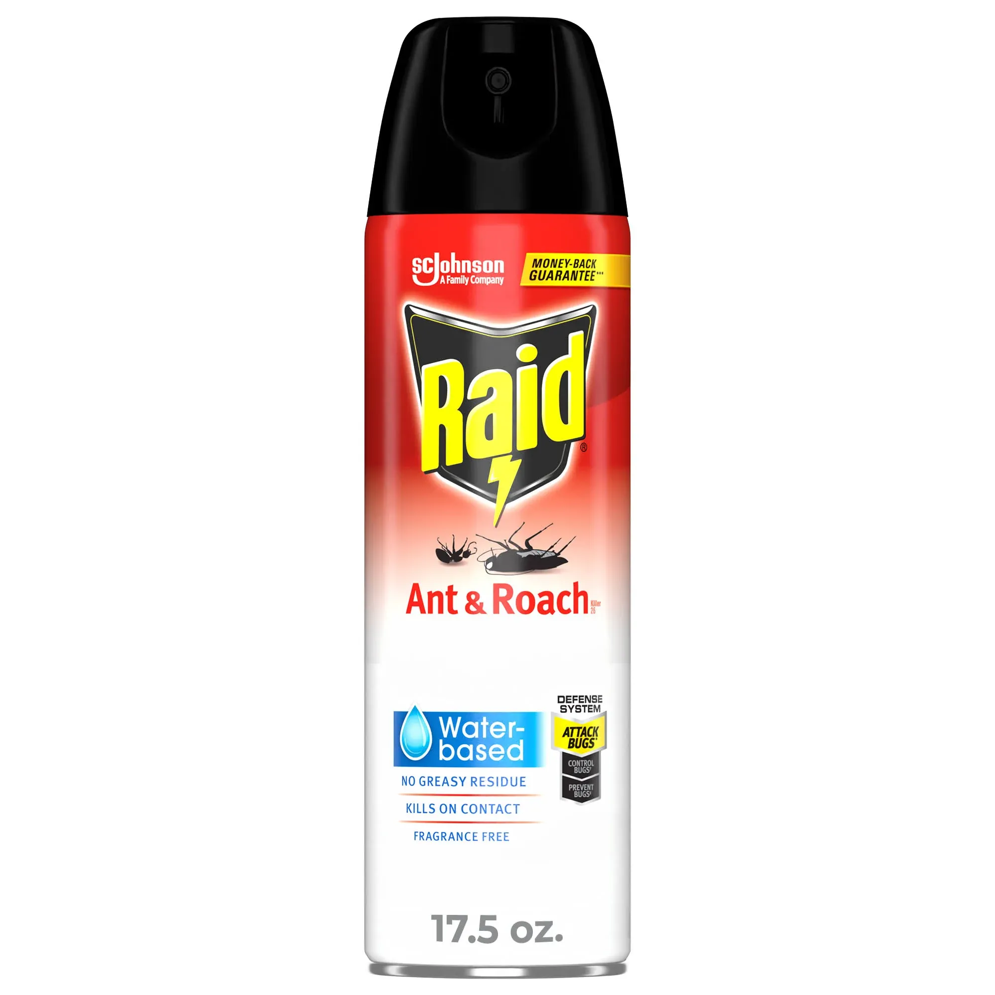 Raid Ant and Roach Killer Spray 17.5 oz
