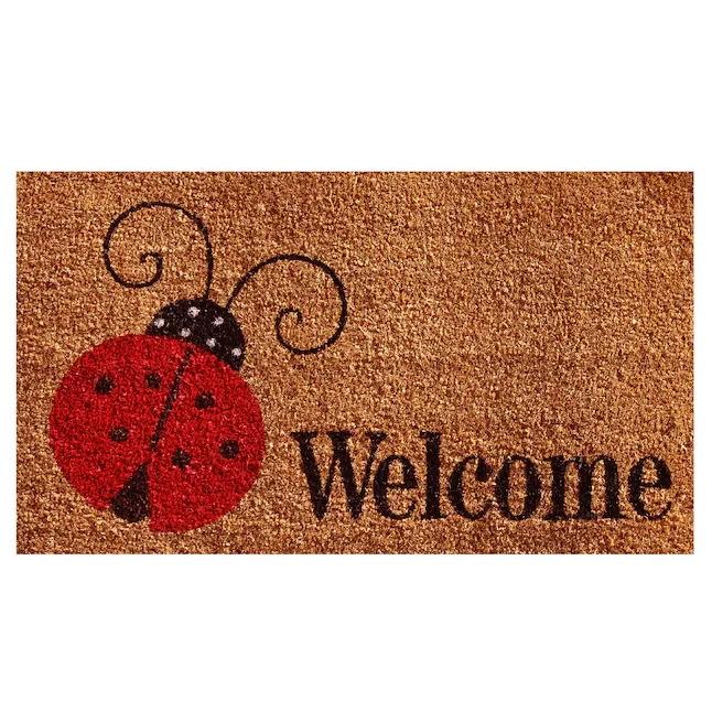 Calloway Mills 121432436 Ladybug Welcome Doormat 24" x 36", Multicolor