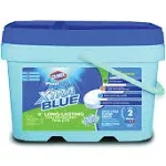 Clorox Pool & Spa XtraBlue Chlorinating Tablets