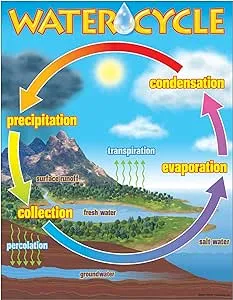 Trend The Water Cycle Learning Chart, Classroom Decor, 17" x 22"
