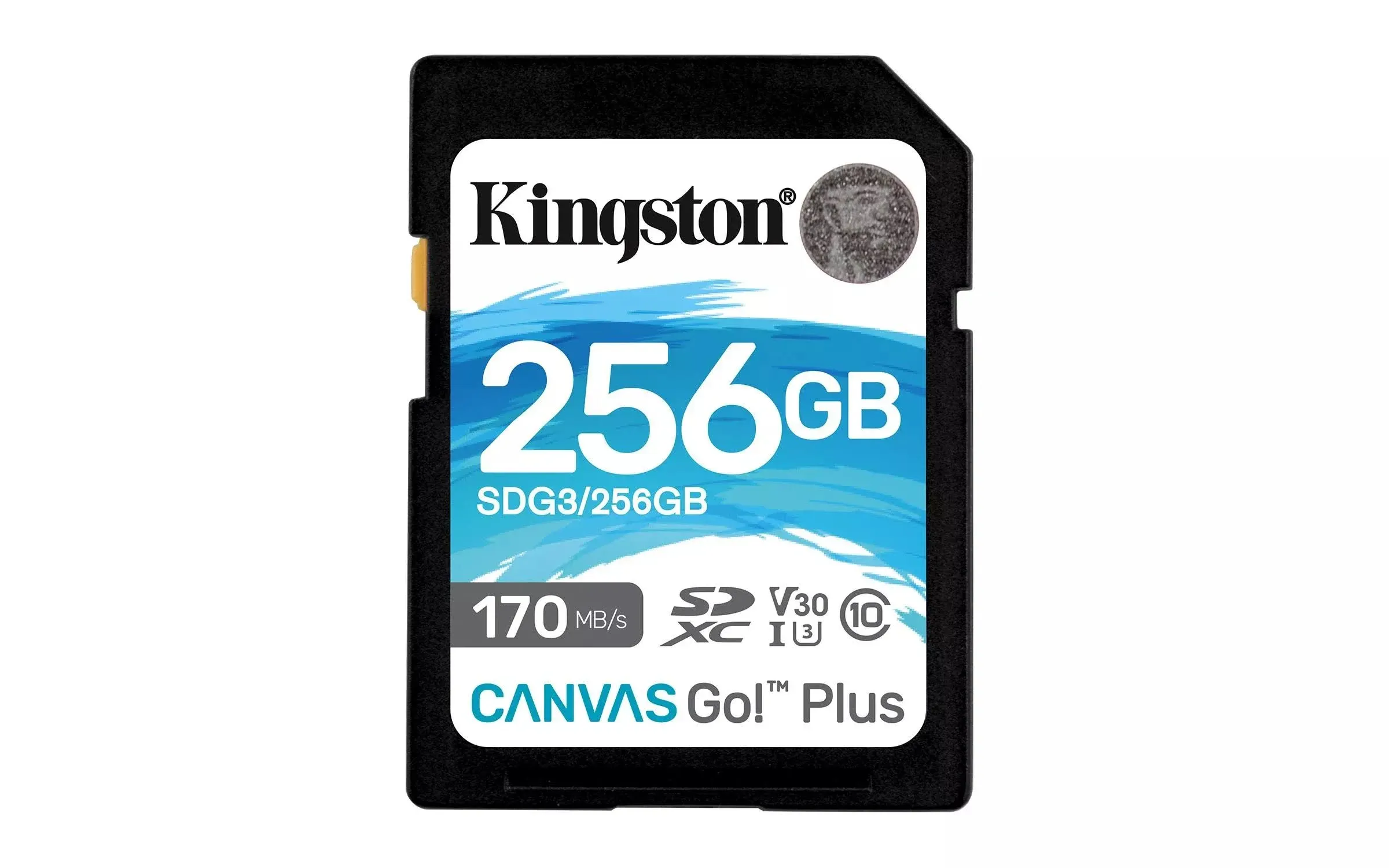 Kingston 256GB microSDXC Canvas Go Plus 170MB/s Read UHS-I Class 10 U3 V30 A2/A1 Memory Card + Adapter SDCG3/256GB
