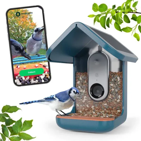 Bird Buddy Smart Bird Feeder with Camera and Solar Roof