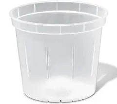 3 inch Slotted Orchid Pot (6 Pack)