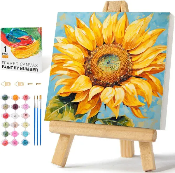 Offito Framed Paint by Numbers Kit