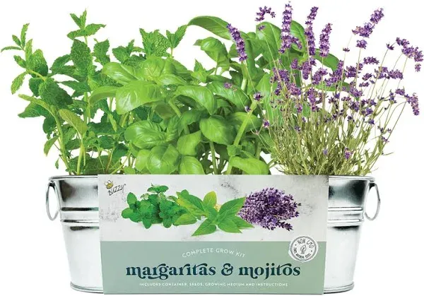 Buzzy Cocktail Garden Windowsill Grow Kit