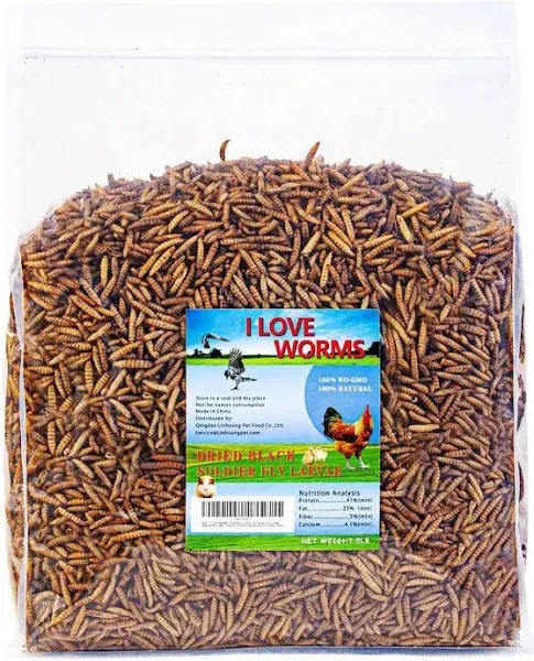 Angel SAR Dried Black Soldier Fly Larvae