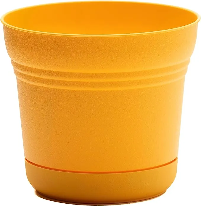 Bloem 10.75 in. H Plastic Saturn Flower Pot Black - Total Qty: 1