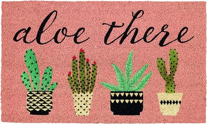 DII Natural Coir Doormat, Decorative Hello Mat, 17x29, Aloe There