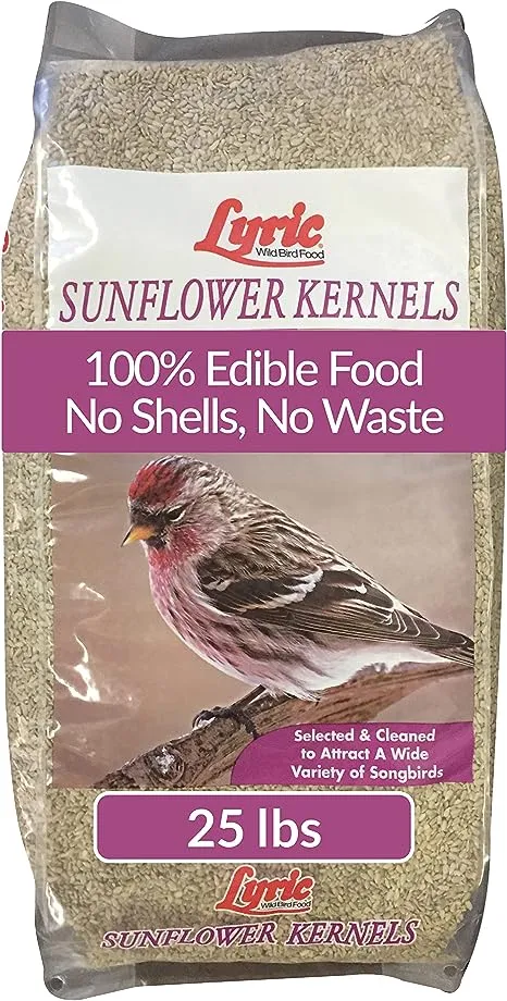 Lyric Sunflower Kernels
