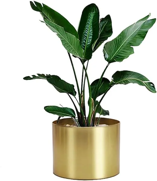 Golden Metal Indoor Planter Pot 8"x6"