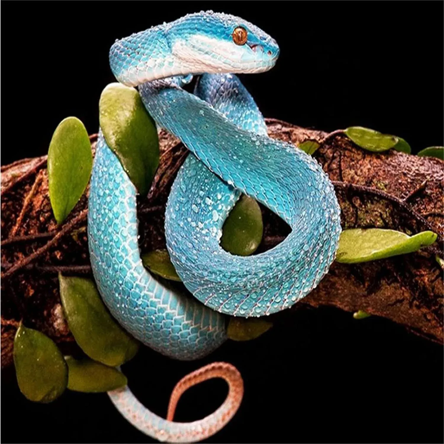 Bue Snake Diamond Painting Kit for Adult Kids 5D DIY Embroidery Arts for Home...
