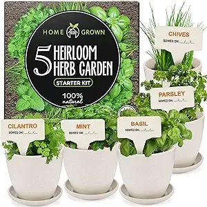 Bonsai Tree Kit, Grow Your Own: Premium 4 Bonsai Trees Starter Kit | Unique Japanese Gifts for Moms Who Have Everything, Women, Men | Gardening Plant Gift for Beginners & Gardeners, Crafts for Adults