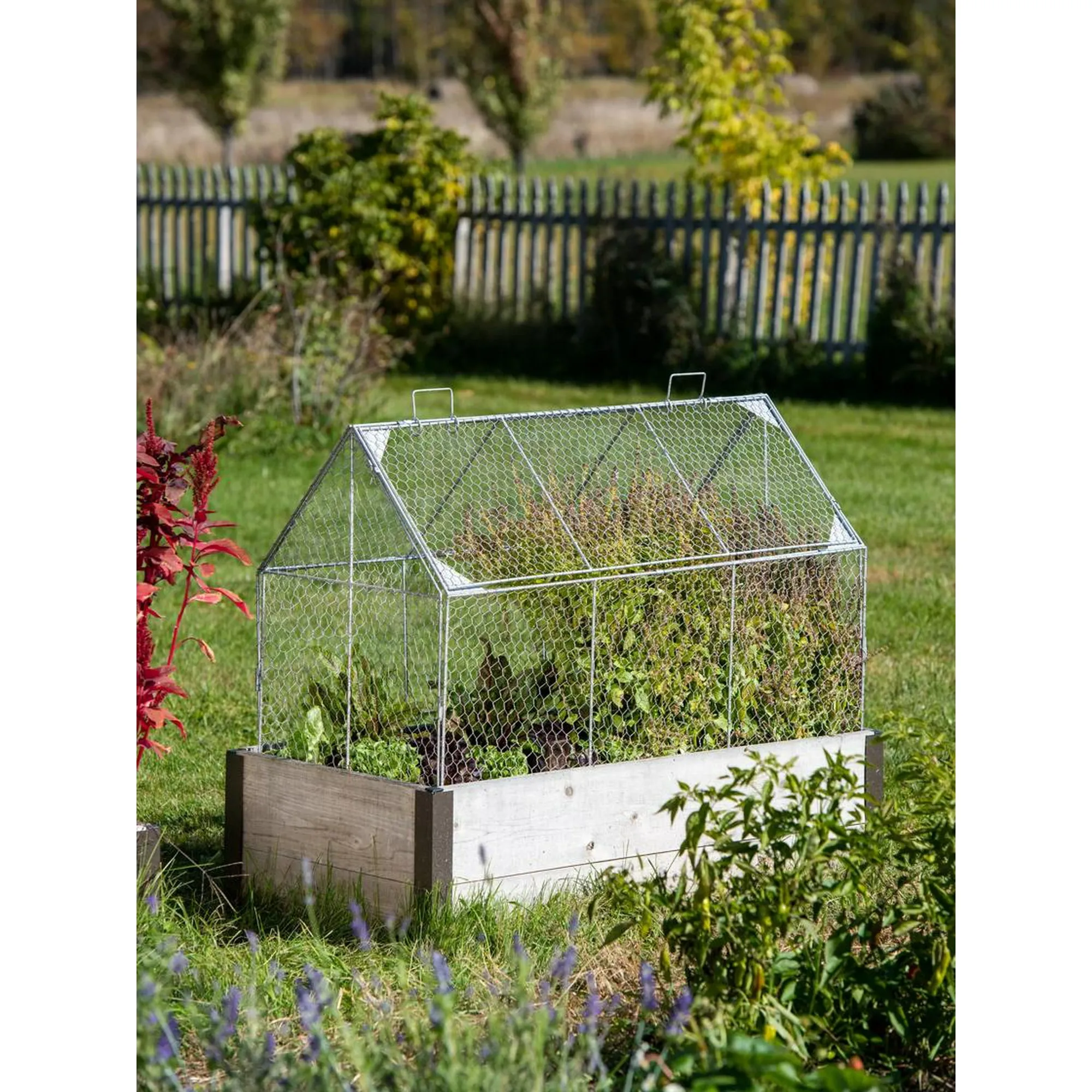 Gardeners Supply Company Chicken Wire Crop Coop