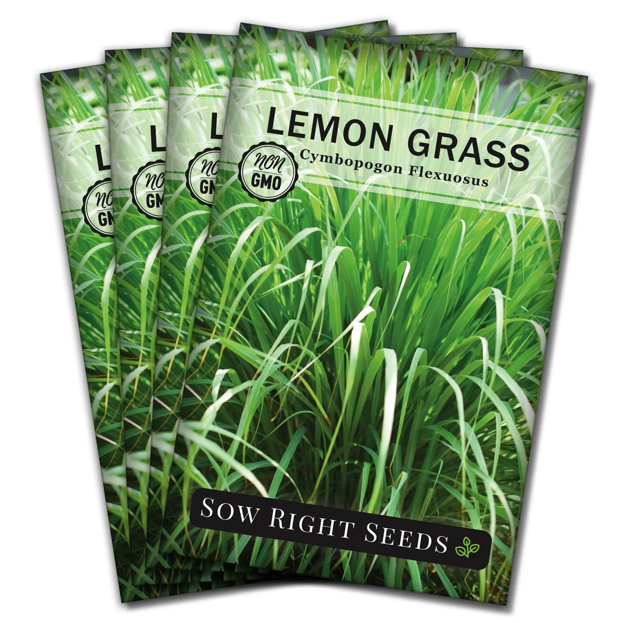 Sow Right Seeds - Lemon Grass Seed for Planting - Non-GMO Heirloom Packet with ...