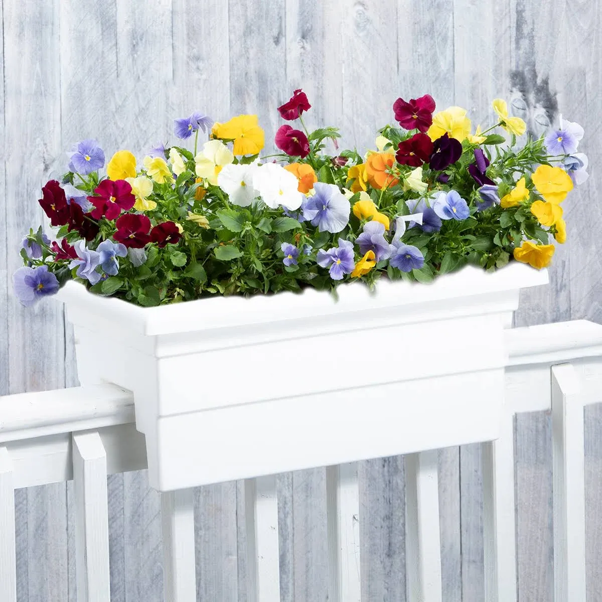 Countryside 24" White Rail Planter