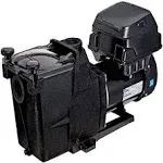 Hayward Super Pump Vs Variable Speed Pool Pump 230V - W3SP2603VSP